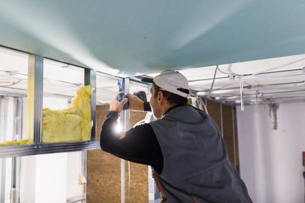 Best Insulation Maintenance and Repair in Macom, IL